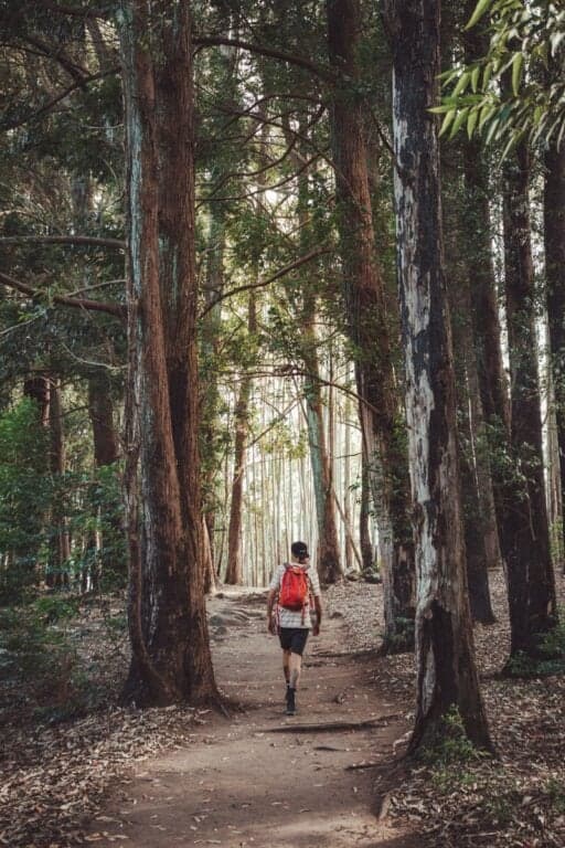 destination