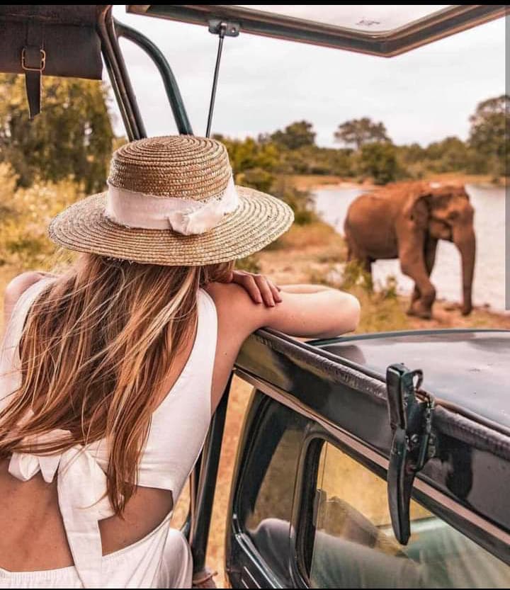Yala National Park Wildlife Safari